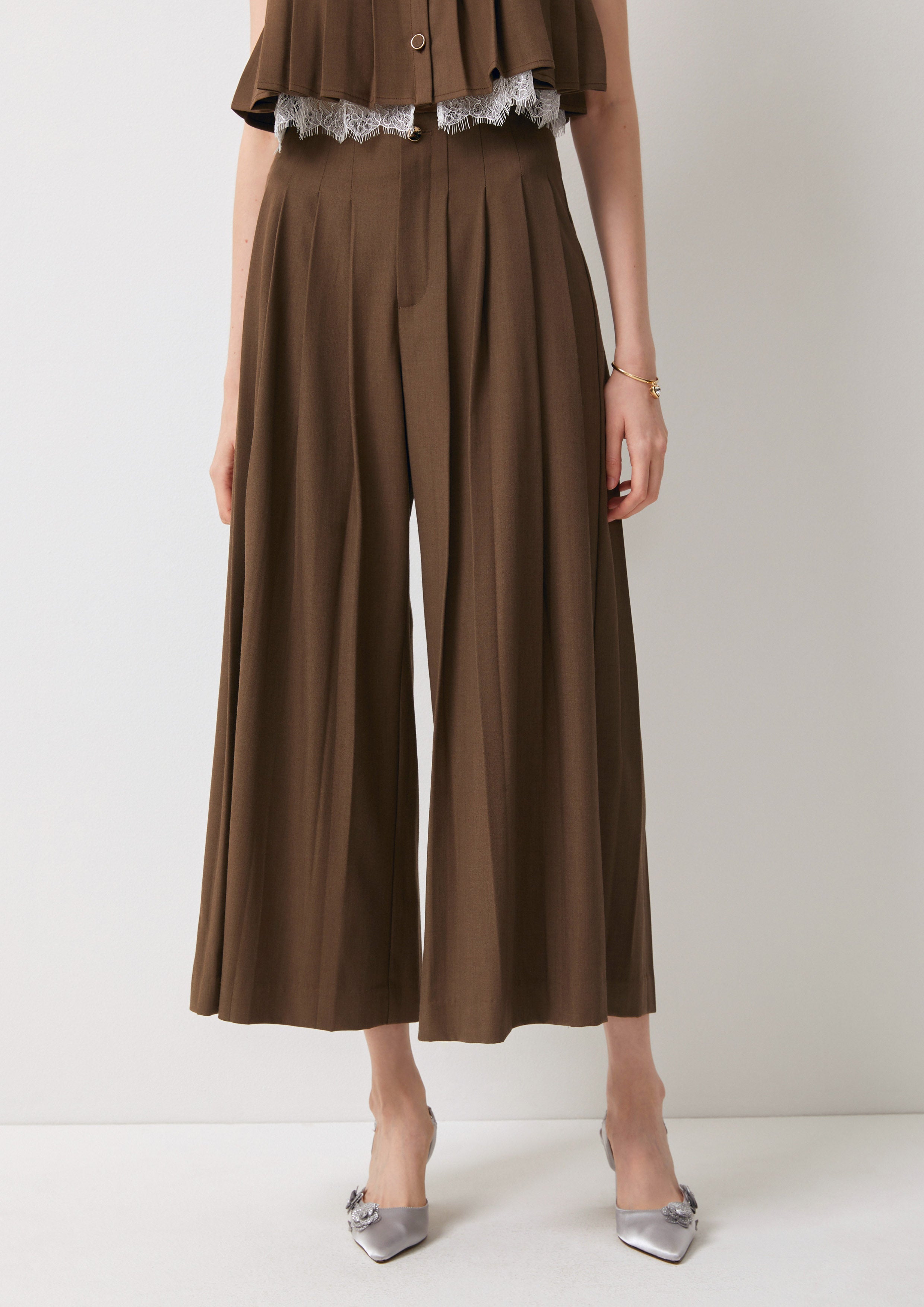 Pleated Wide-Leg Pants The Canine Whisper